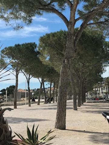 La Ciotat : Superbe Appartement Proche Du Port 外观 照片